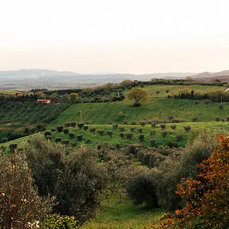 Sahara - Galmping Maremma, Toscana Roccastrada