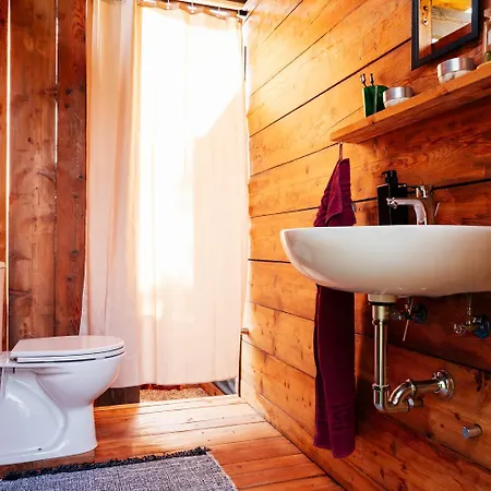 Sahara - Galmping Maremma, Toscana *