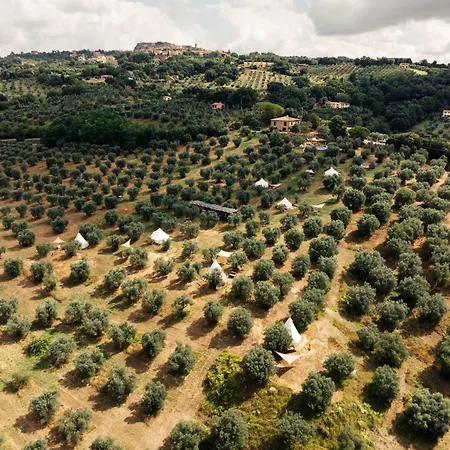 Sahara - Galmping Maremma, Toscana