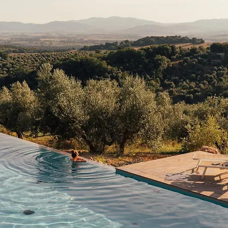 Sahara - Galmping Maremma, Toscana Roccastrada