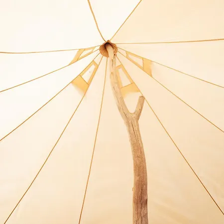 Sahara - Galmping Maremma, Toscana *