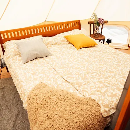 Sahara - Galmping Maremma, Toscana *